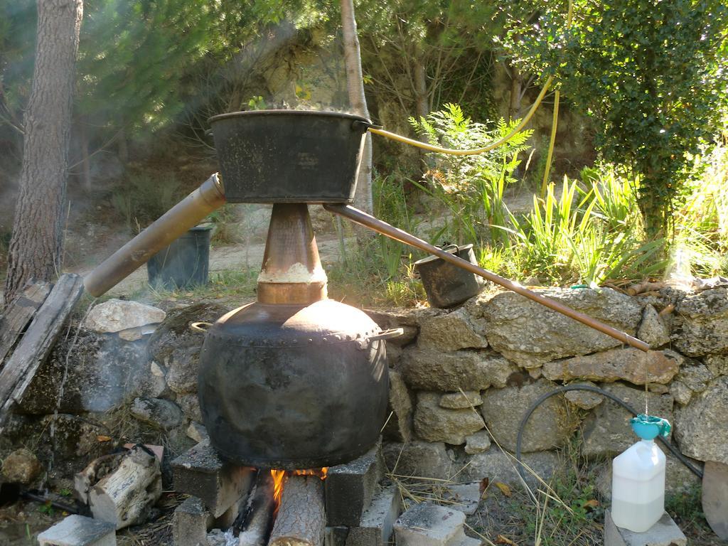 Quinta Do Circo - Serra Da Estrela - Turismo Rural Cortes do Meio 외부 사진