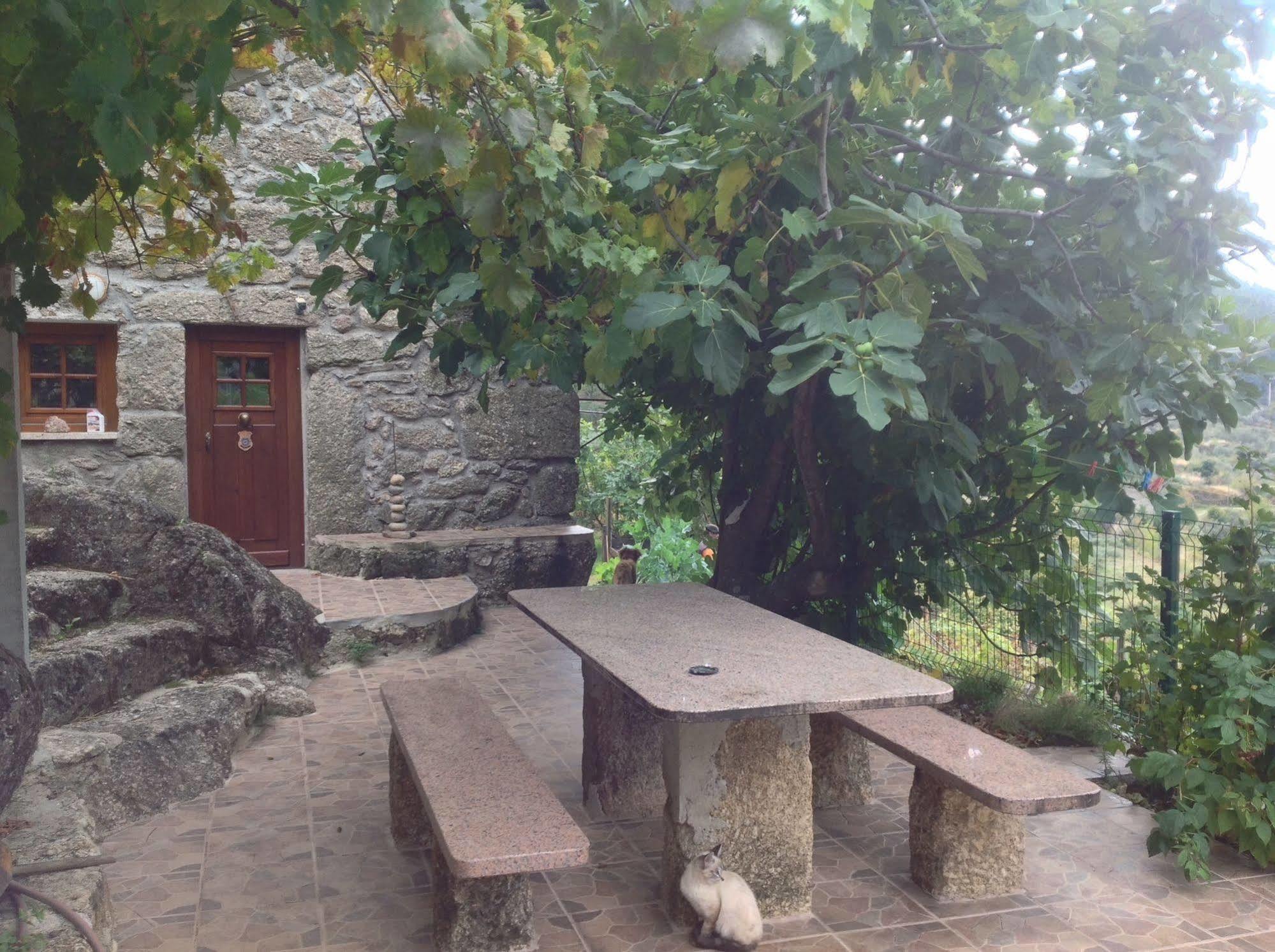 Quinta Do Circo - Serra Da Estrela - Turismo Rural Cortes do Meio 외부 사진